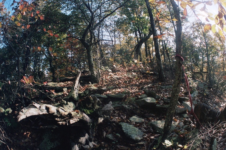 Sheltowee Trace in October 4.jpg